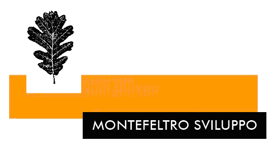 Logo Montefeltro Sviluppo